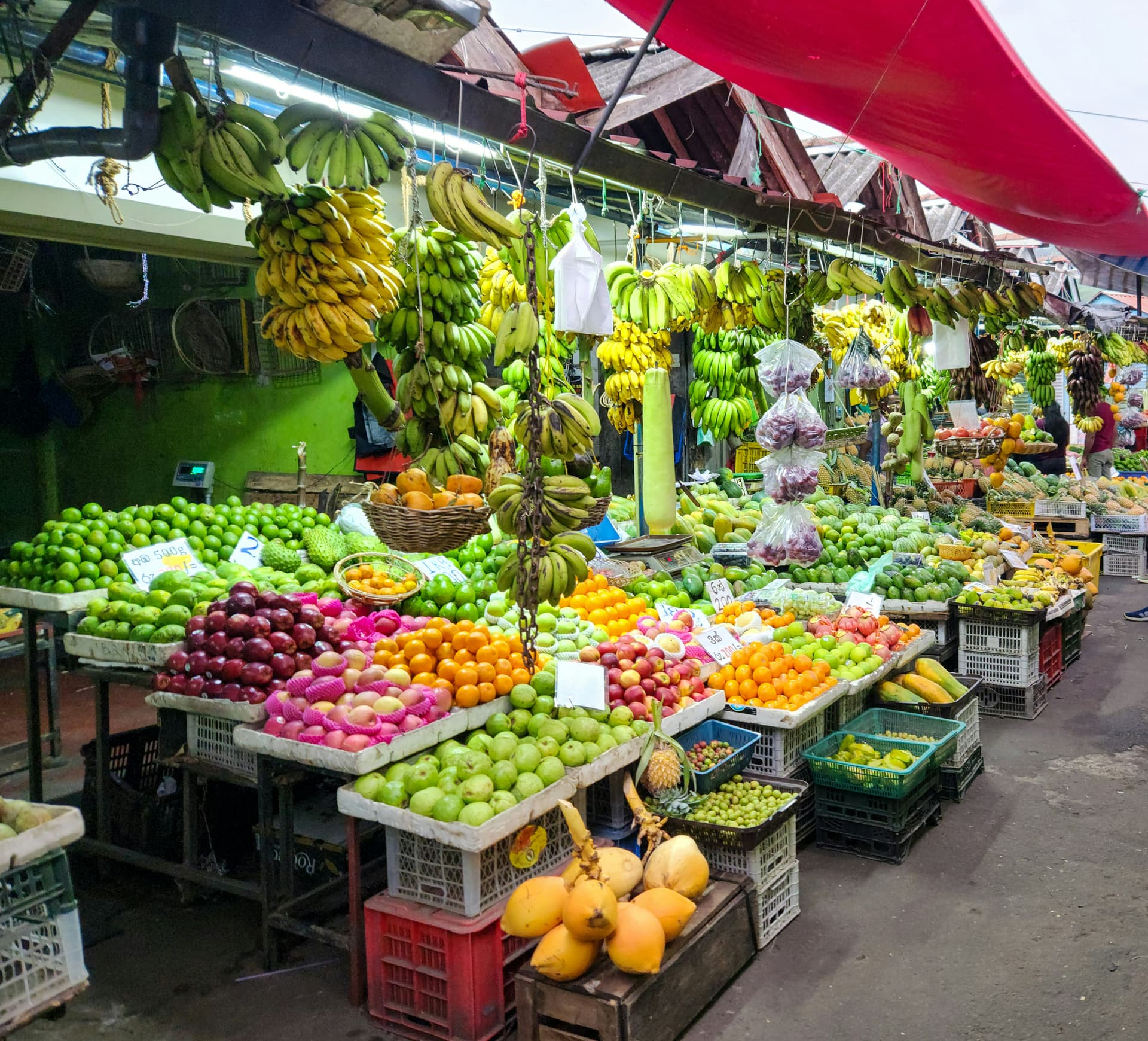 A bustling outdoor fruit market stall with bunches of bananas hanging overhead and tables piled with limes, apples, oranges, guavas, and coconuts